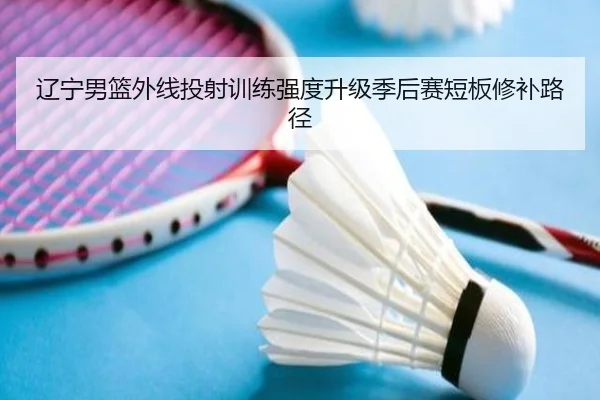 辽宁男篮外线投射训练强度升级季后赛短板修补路径